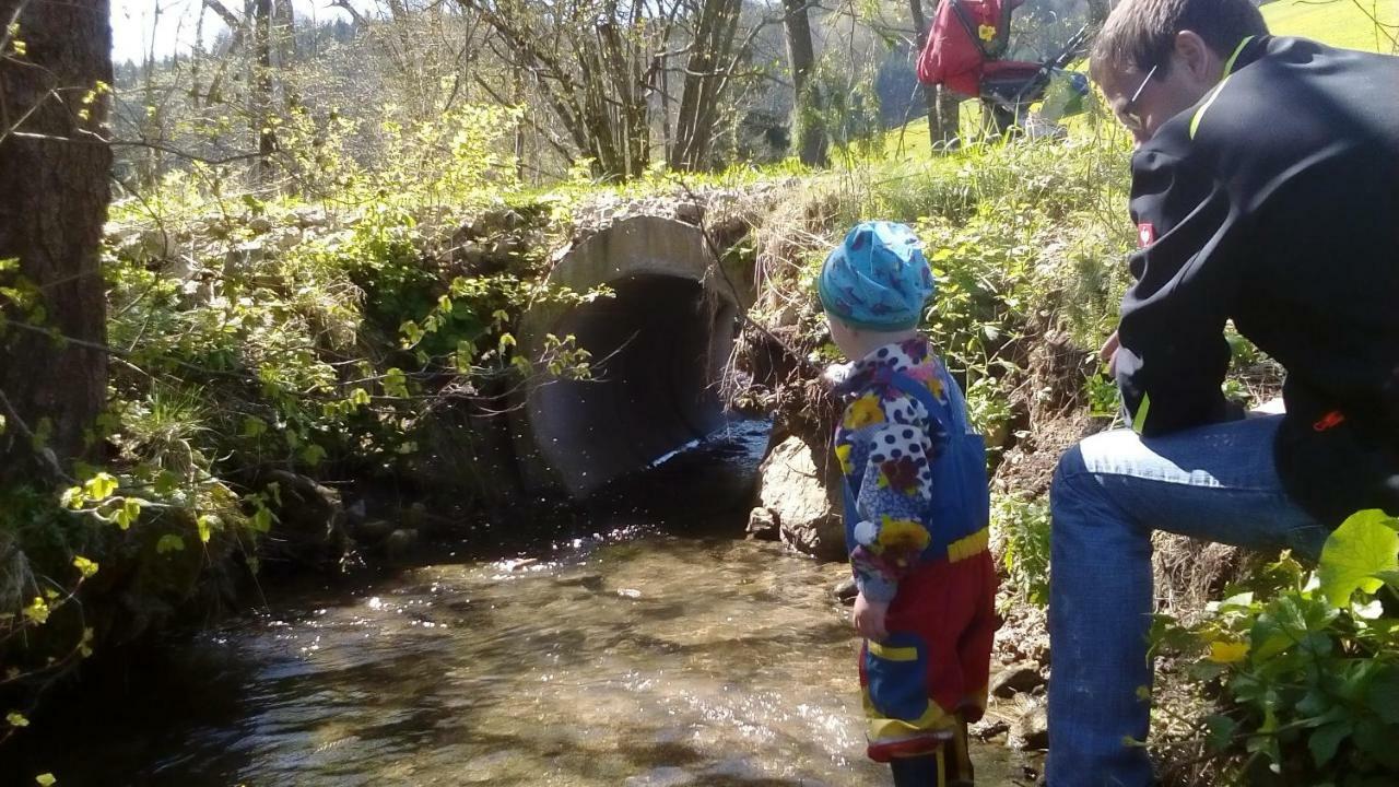 Einkehrhof Poggau Daire Reinsberg Dış mekan fotoğraf