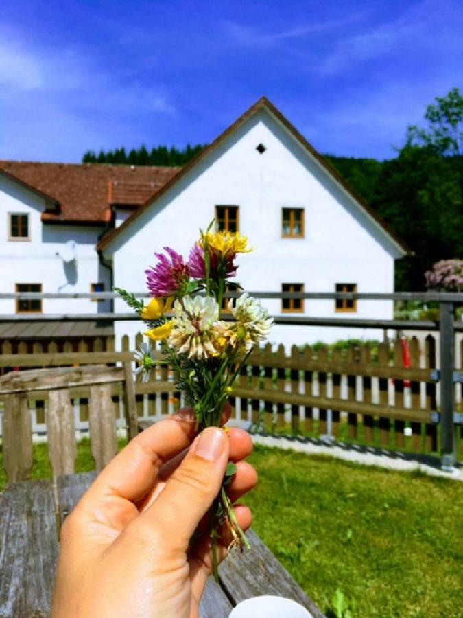 Einkehrhof Poggau Daire Reinsberg Dış mekan fotoğraf