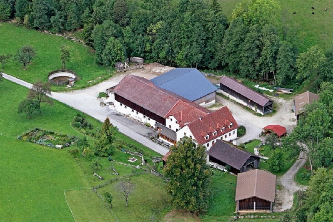 Einkehrhof Poggau Daire Reinsberg Dış mekan fotoğraf